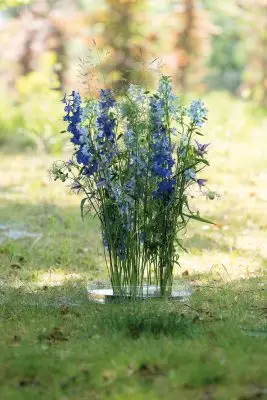 RM-DPK-Meesterlijk Geschikt-03-001