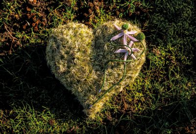 HannekeFrankema_2025_0175