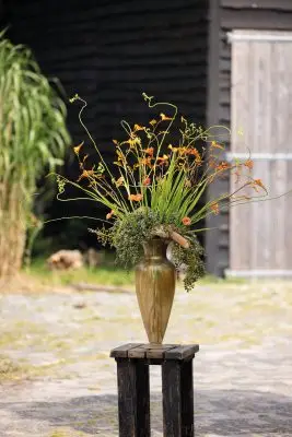 RM-DPK-Iris-05-001