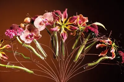 20251028_145029_HannekeFrankema_