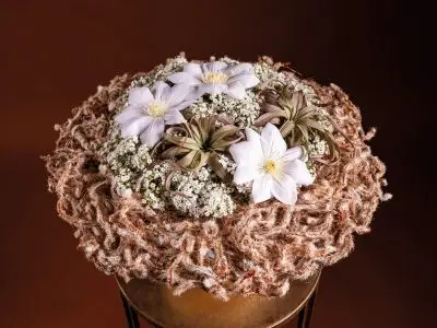 20251028_145226_HannekeFrankema_