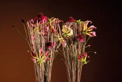 20251028_145608_HannekeFrankema_