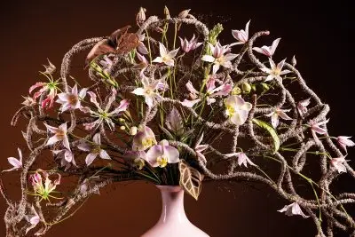 20251028_151003_HannekeFrankema_