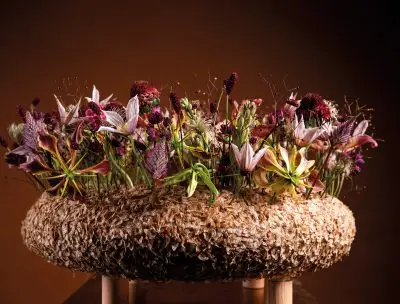 20251028_163529_HannekeFrankema_