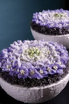 20251028_165404_HannekeFrankema_