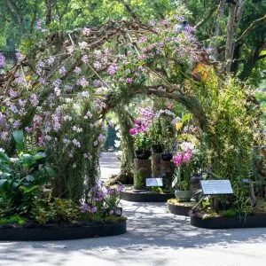 524641470_1251596436425696_4064608448504661433_n