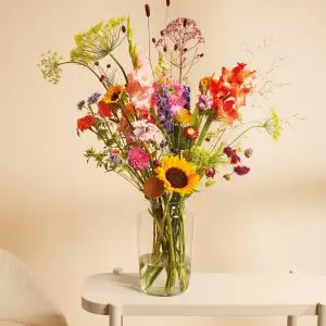 Bloomon duurzaamheidsrapport(2)