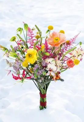 20260108_143902_Pook