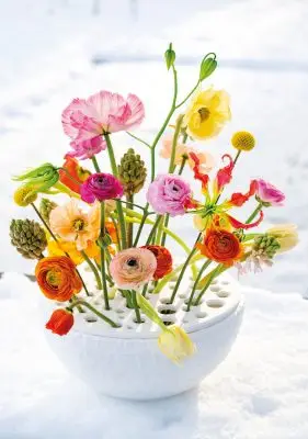 20260108_144250_Pook