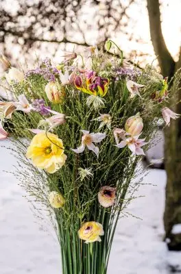 20260108_144912_Pook