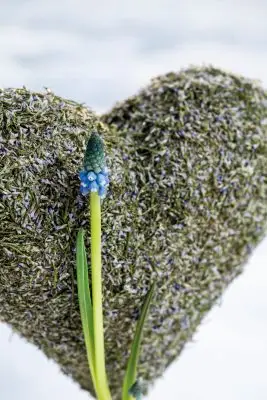 20260108_150154_Pook