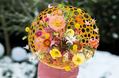 20260109_133843_Pook