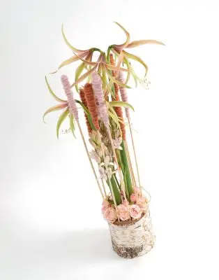 Franka Roenhorst-1007 (2)