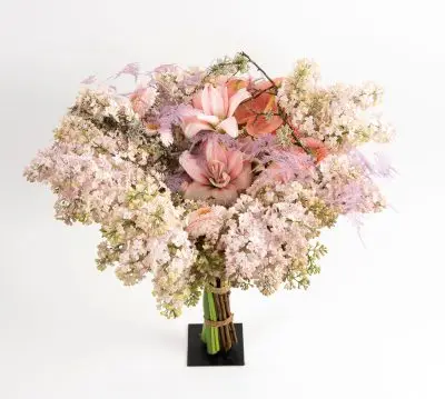 Frédéric Dupré-1005