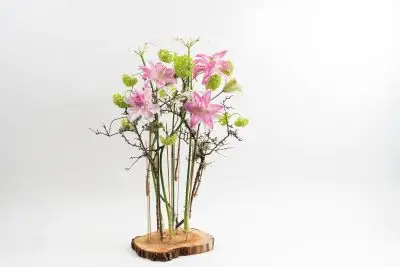 Lizzie Newcombe-1001 (1)