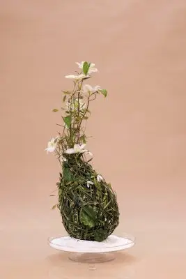 RM-DPK-01-Max van der Sluis-14-001