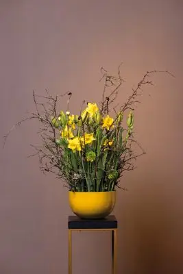 RM-DPK-Meesterlijk Geschikt-03-001