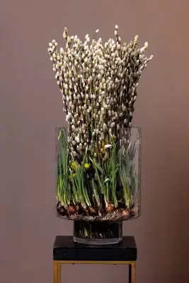 RM-DPK-Meesterlijk Geschikt-04-001-bewerkt