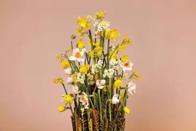 RM-Max van der Sluis-01-018_Radiant