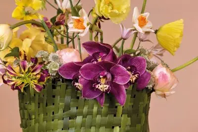 RM-Max van der Sluis-02-014_Radiant