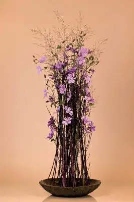 RM-Max van der Sluis-06-001_Radiant