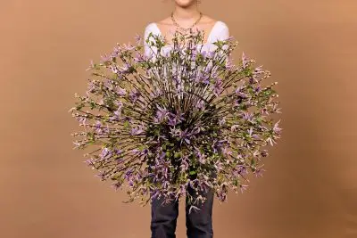 RM-Max van der Sluis-08-017_Radiant