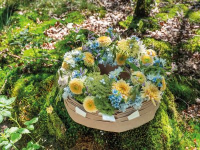 © Studio PSG - DSCF5227