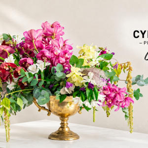 Cymbidium challenge LI banner