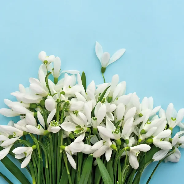 <i class='fa fa-lock' aria-hidden='true'></i> Vergeet de kleintjes niet!