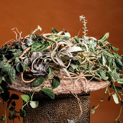 20251028_144500_HannekeFrankema_