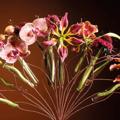 20251028_145029_HannekeFrankema_