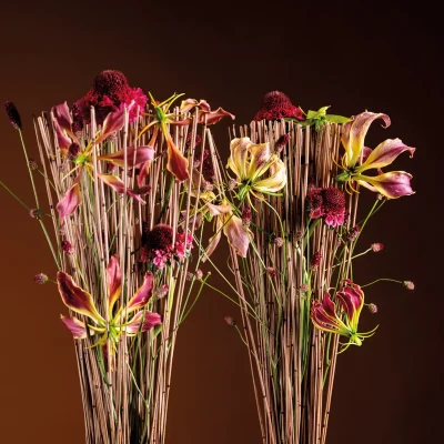 20251028_145608_HannekeFrankema_