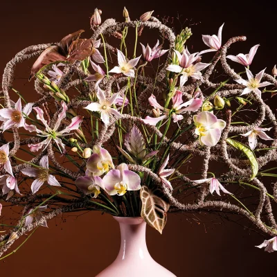 20251028_151003_HannekeFrankema_