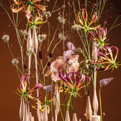 20251028_162340_HannekeFrankema_