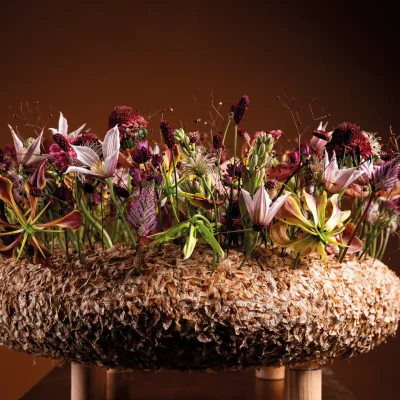 20251028_163529_HannekeFrankema_