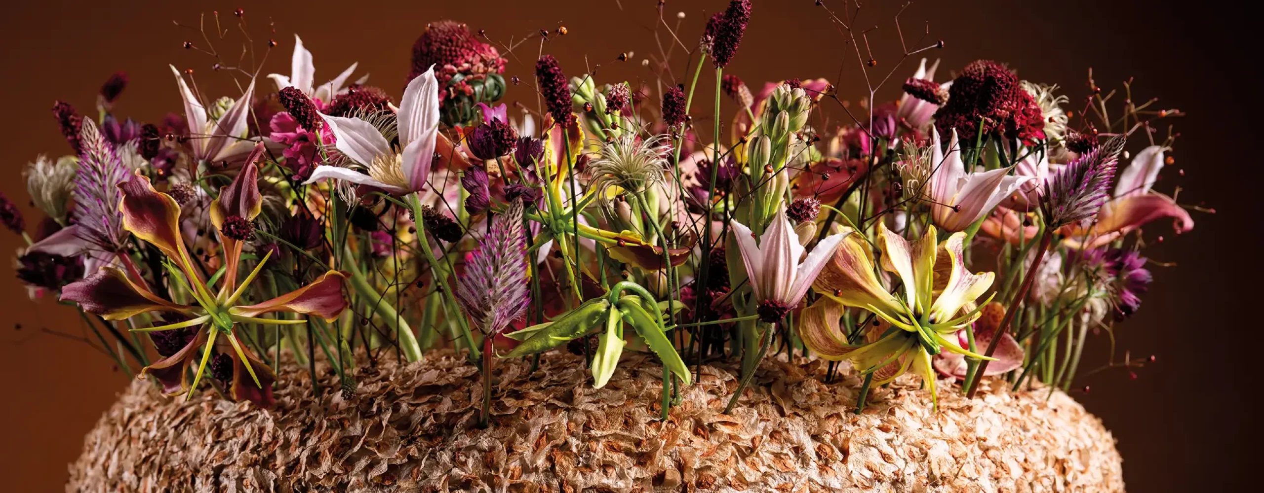 20251028_163529_HannekeFrankema_