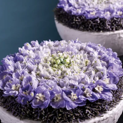 20251028_165404_HannekeFrankema_