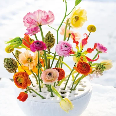 20260108_144250_Pook