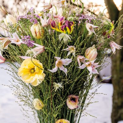 20260108_144912_Pook