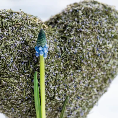 20260108_150154_Pook