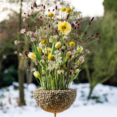 20260108_151325_Pook