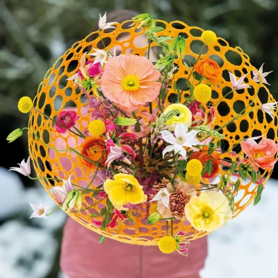 20260109_133843_Pook