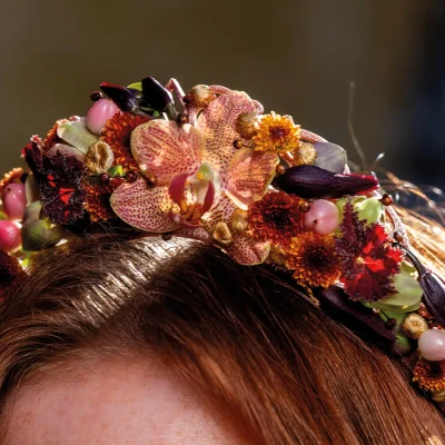 20260305_145530_Pook