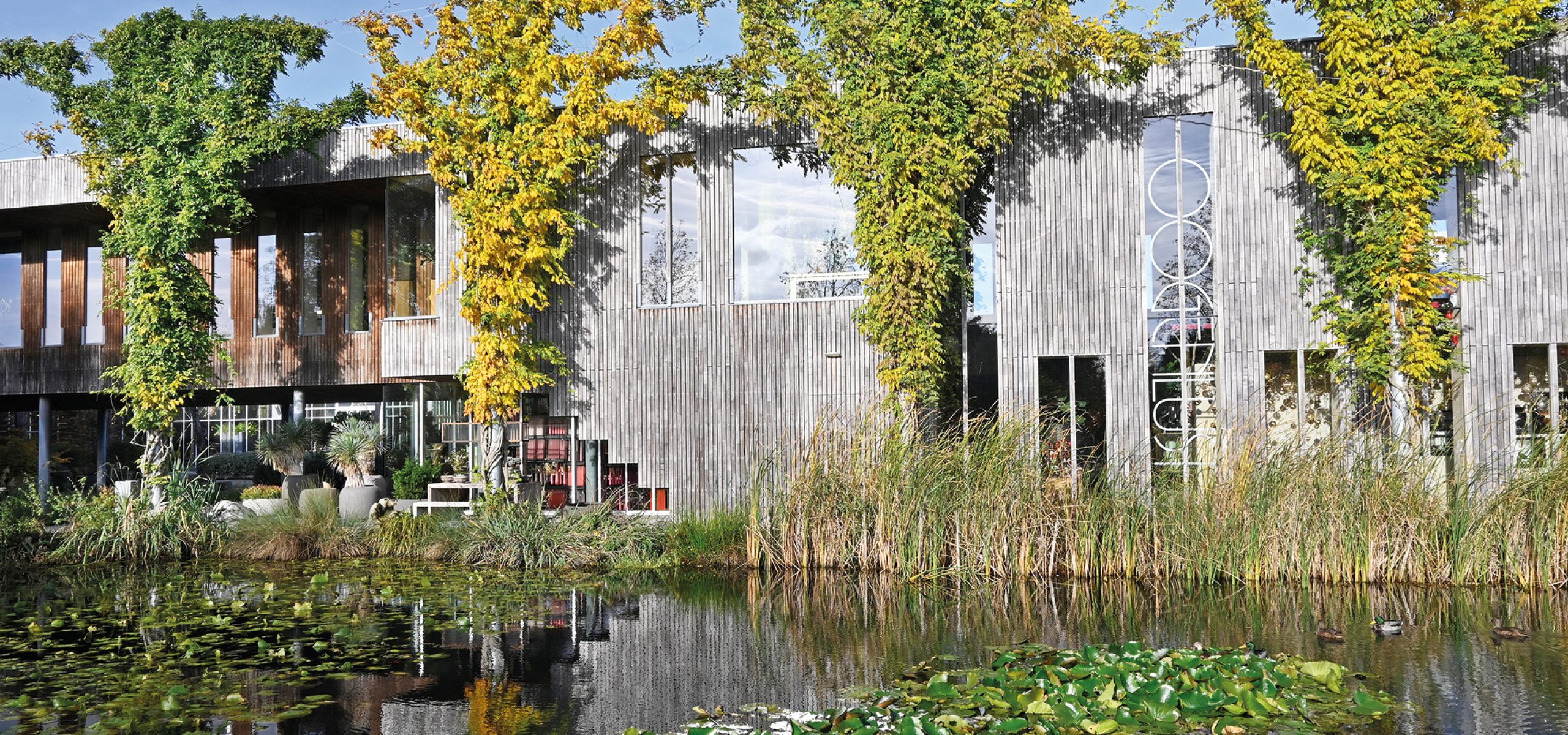 Copyright Anita Meuleman, ƒotografie voor DPK Floral magazine de Pook. Oogenlust in Eersel.