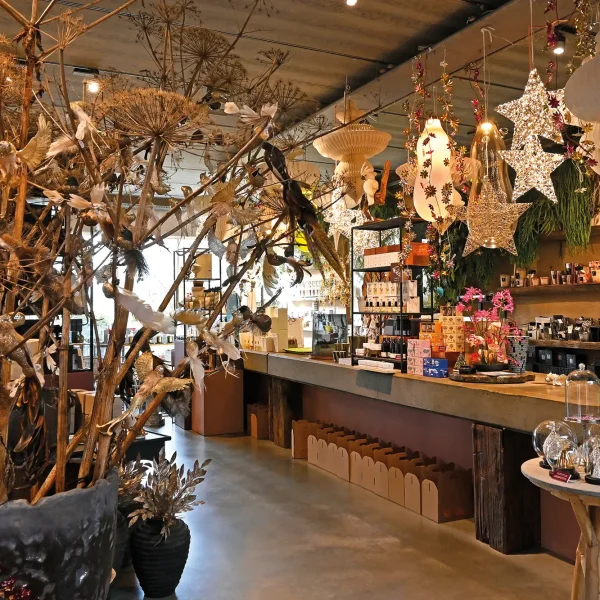 AM - Oogenlust 7511001032