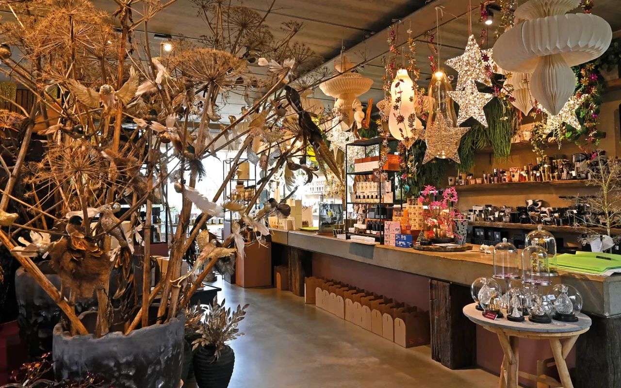 AM - Oogenlust 7511001032