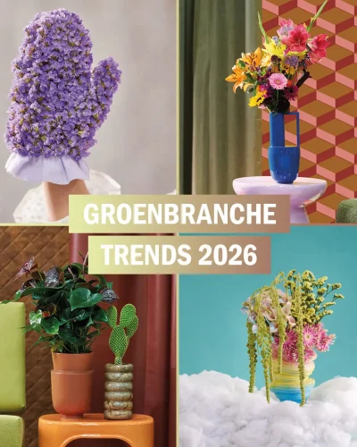 BBH_GROENBRANCHE TRENDS_KEYVISUAL 2026 NL_1200 x 1200