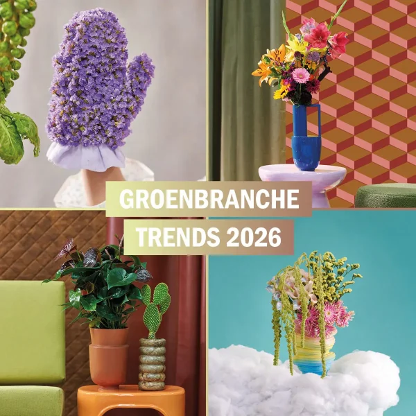 BBH_GROENBRANCHE TRENDS_KEYVISUAL 2026 NL_1200 x 1200