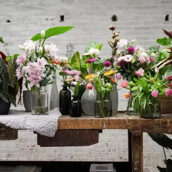 Bloemen-en-Planten-van-Decorum