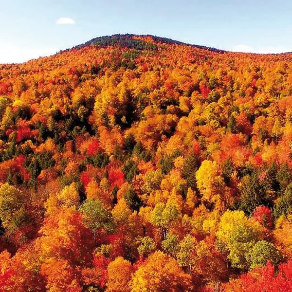 Die-schönsten-Indischen-Sommer-Fotos_Herbst_Maine-Newry